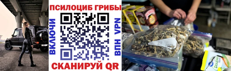 купить  цена  Вилючинск  маркетплейс официальный сайт  Галлюциногенные грибы Psilocybine cubensis 